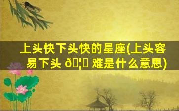 上头快下头快的星座(上头容易下头 🦄 难是什么意思)
